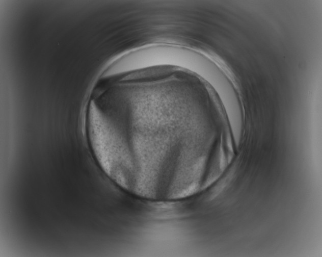 X0000088430862200706191233