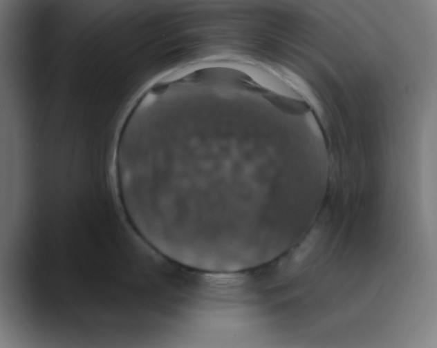 X0000088430863200706191233