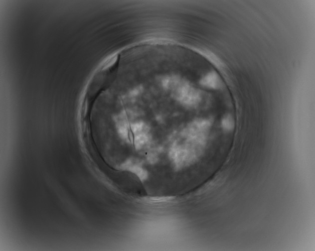 X0000088430864200706191233