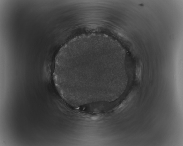 X0000088430868200706191232