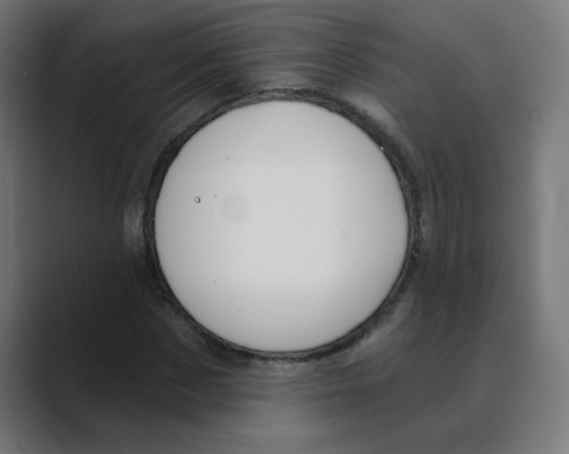 X0000088430873200706191232