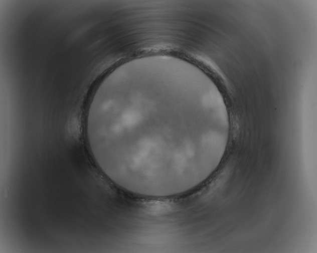 X0000088430874200706191232