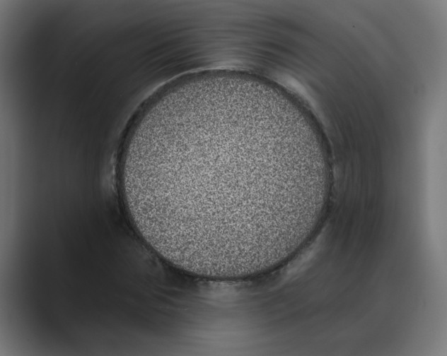 X0000088430875200706191232