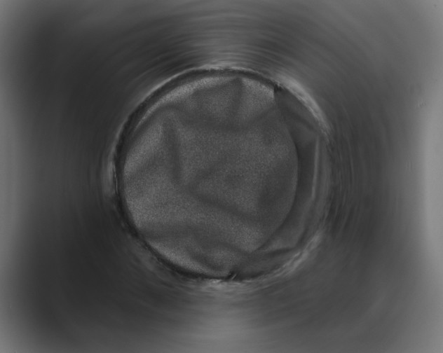 X0000088430876200706191232
