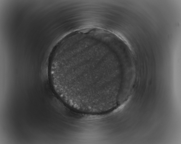 X0000088430877200706191232