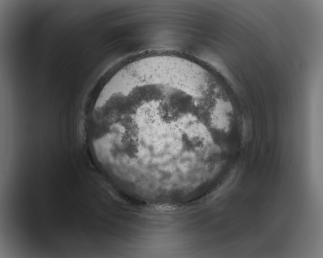 X0000088430878200706191232