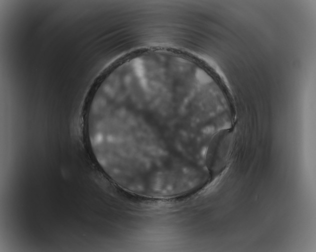 X0000088430879200706191232