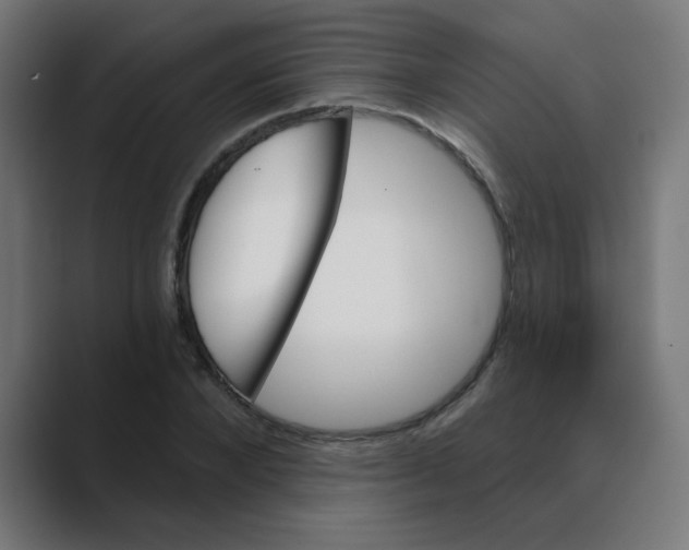 X0000088430880200706191232