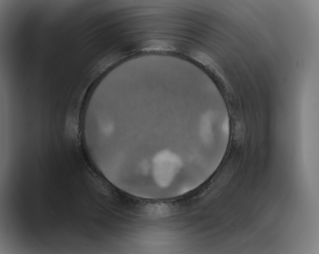 X0000088430882200706191232
