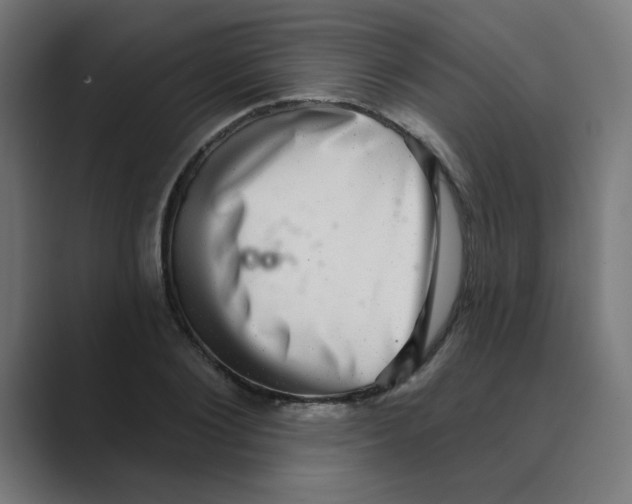 X0000088430884200706191232
