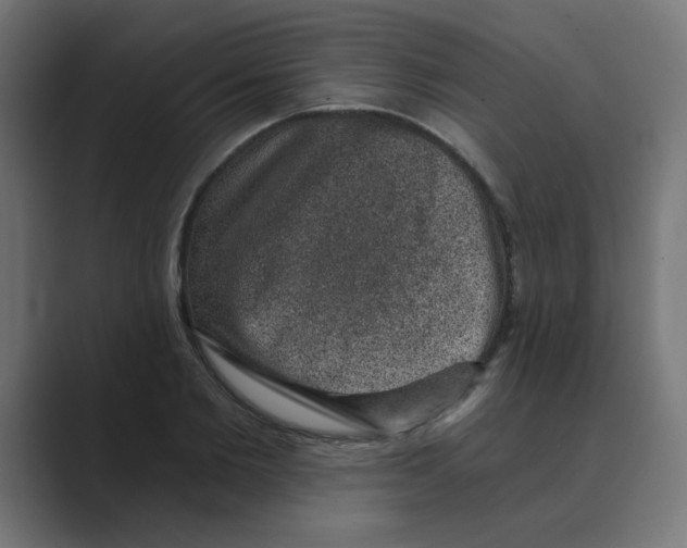 X0000088430885200706191232