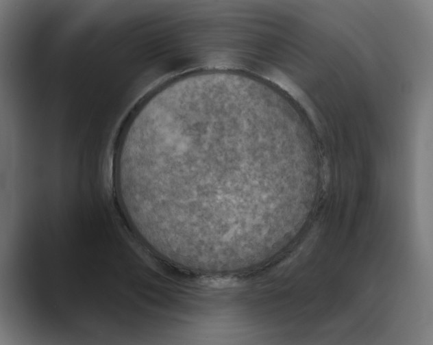 X0000088430886200706191232