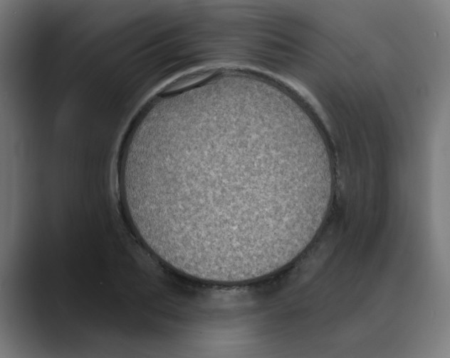 X0000088430887200706191232
