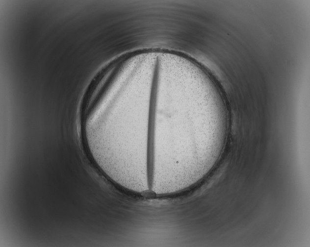 X0000088430888200706191232