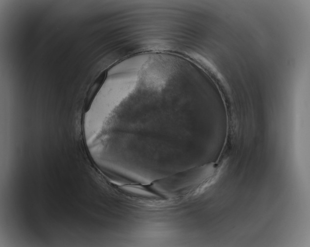 X0000088430889200706191232