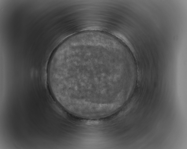 X0000088430890200706191232
