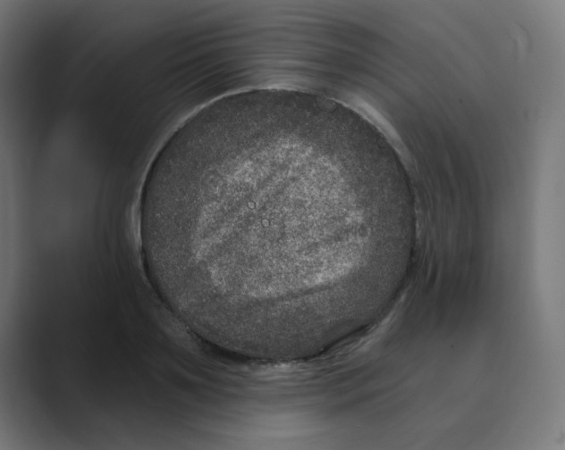 X0000088430891200706191232