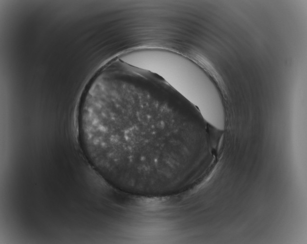 X0000088430892200706191232