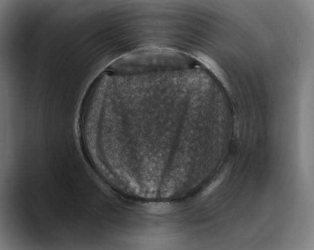 X0000088430893200706191232