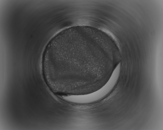 X0000088430894200706191232