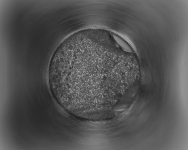 X0000088430895200706191232