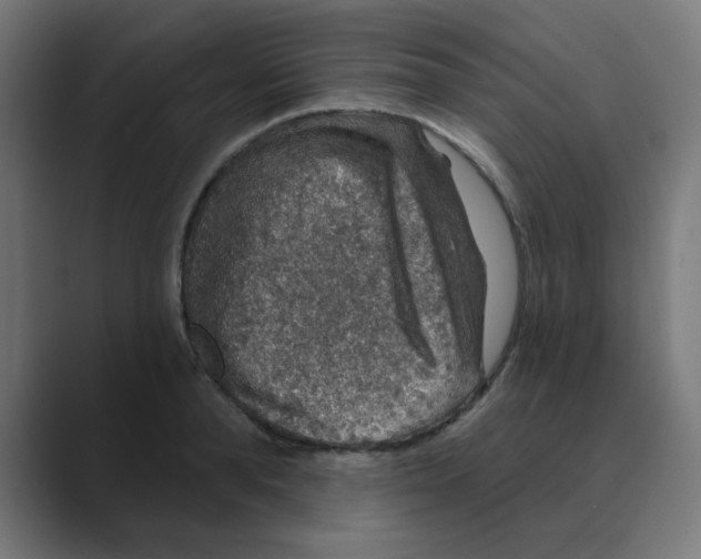 X0000088430896200706191232