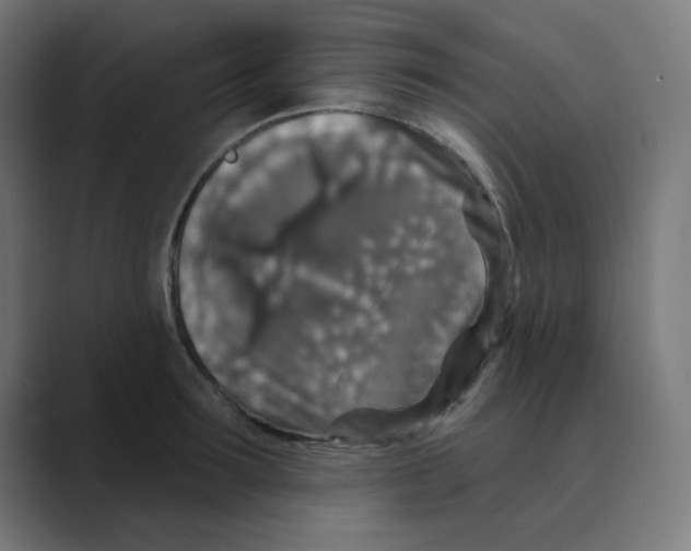 X0000088430899200706191232