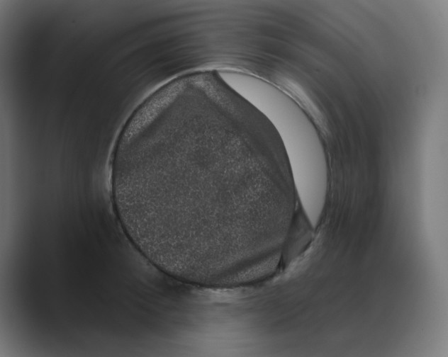 X0000088430900200706191232