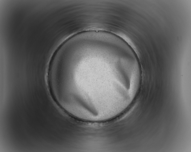 X0000088430901200706191232