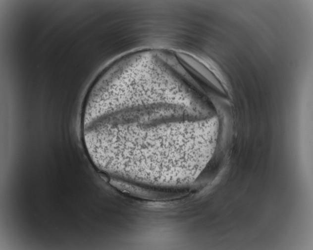X0000088430904200706191232