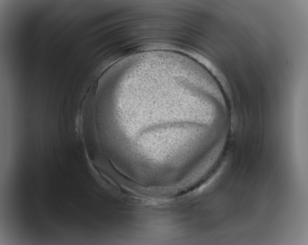 X0000088430905200706191232