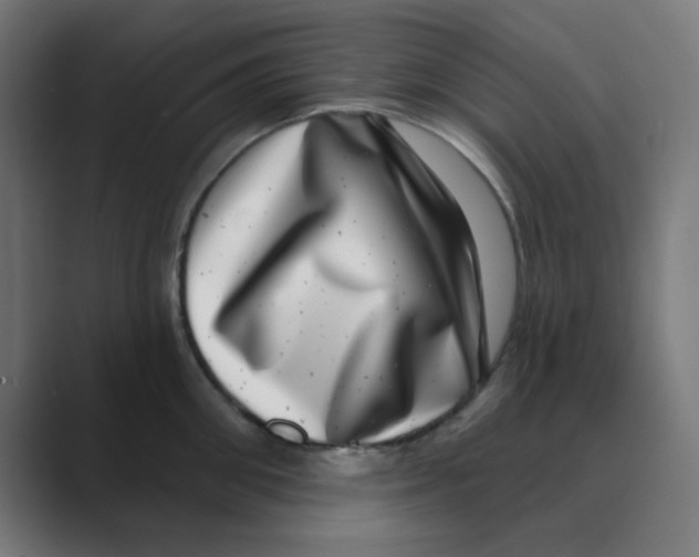 X0000088430906200706191232