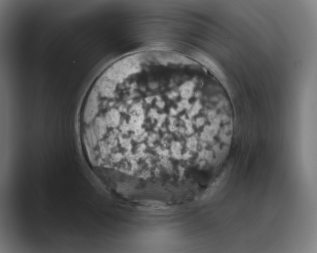 X0000088430907200706191232