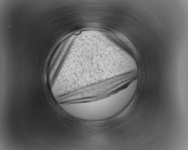 X0000088430908200706191232