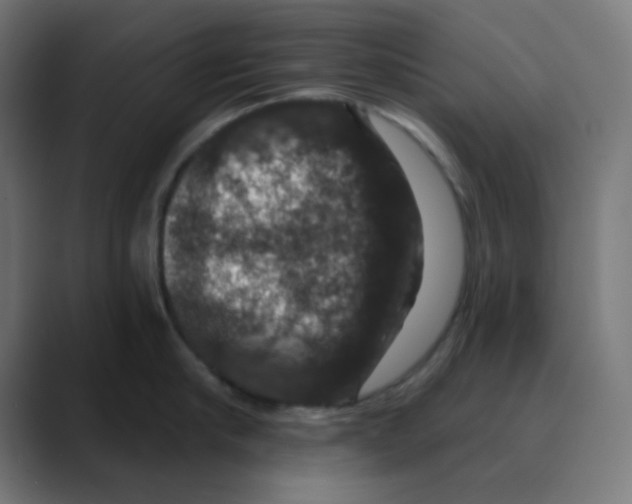 X0000088430910200706191232