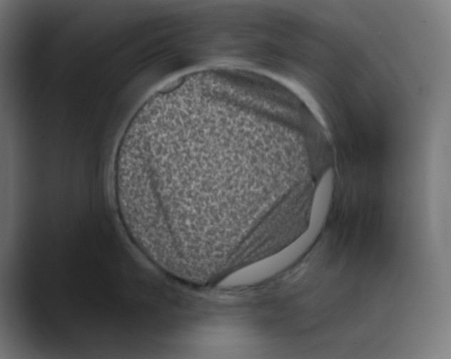 X0000088430911200706191232