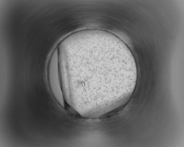 X0000088430912200706191232