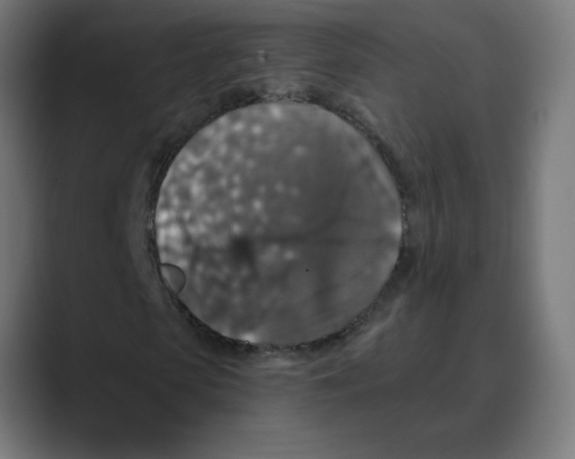 X0000088430913200706191231