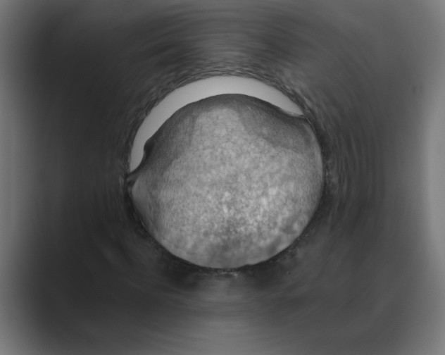 X0000088430916200706191231