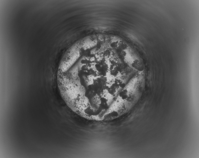 X0000088430917200706191231