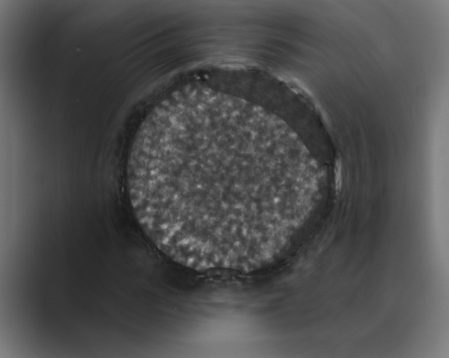 X0000088430919200706191231