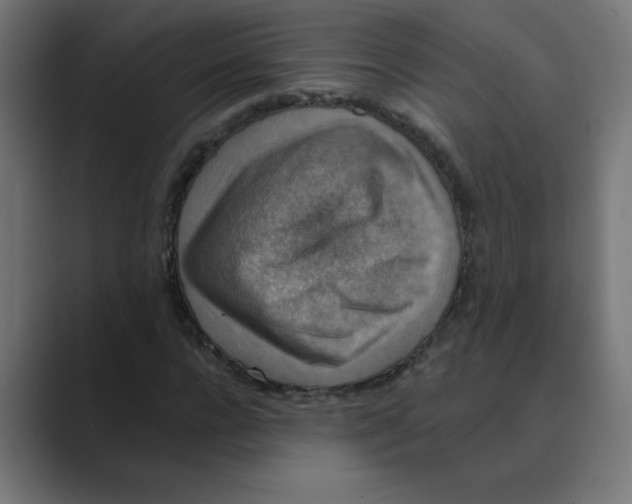 X0000088430920200706191231
