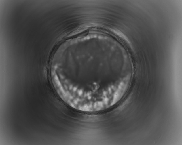 X0000088430921200706191231