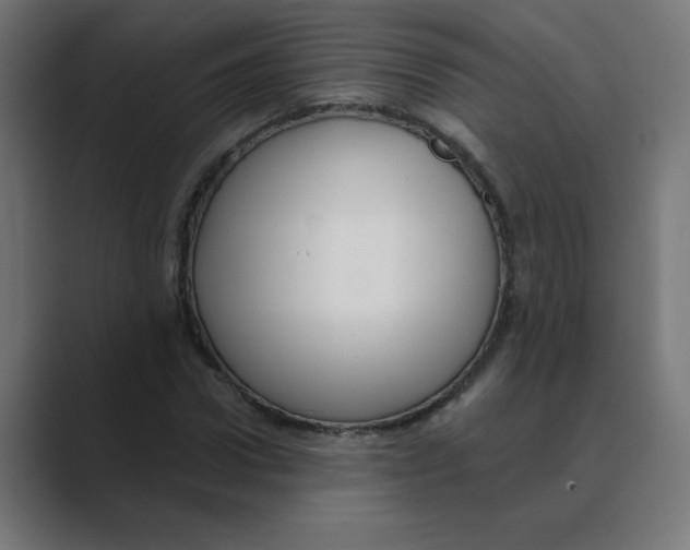 X0000088430922200706191231