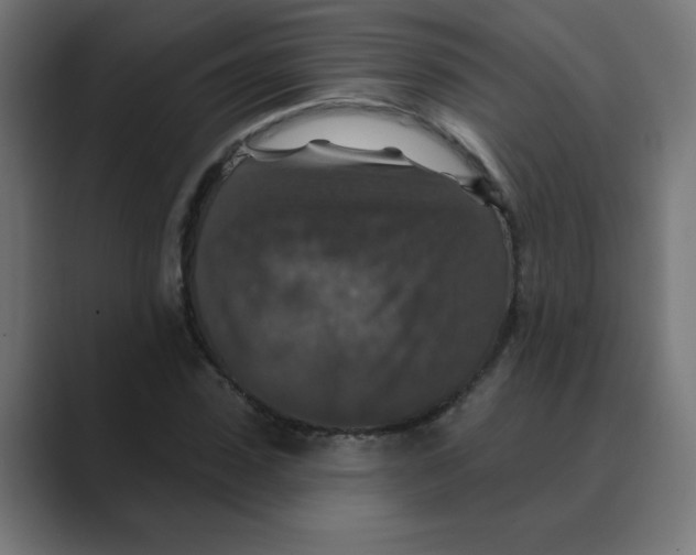 X0000088430923200706191231