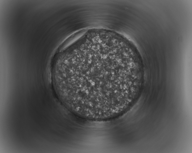 X0000088430925200706191231