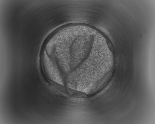 X0000088430928200706191231