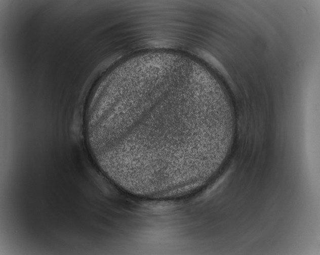 X0000088430930200706191231