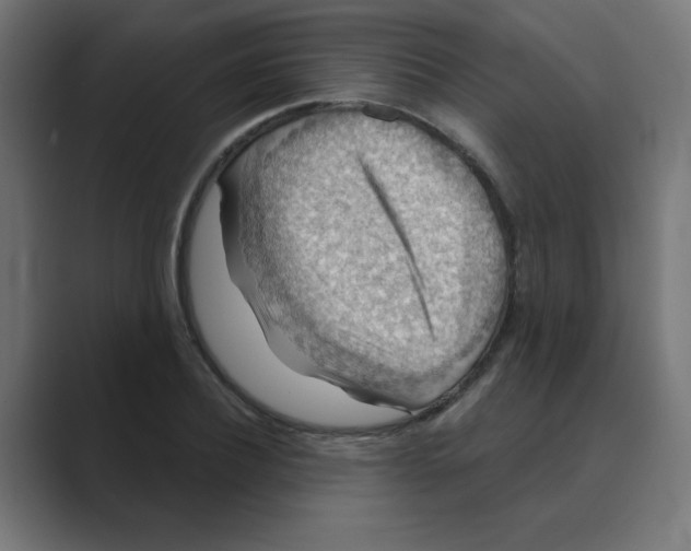 X0000088430932200706191231
