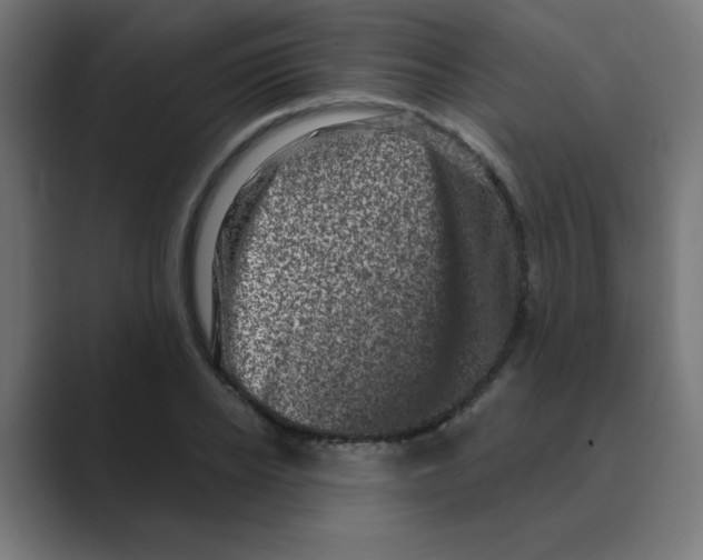 X0000088430934200706191231
